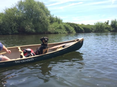 canoeing-with-dog